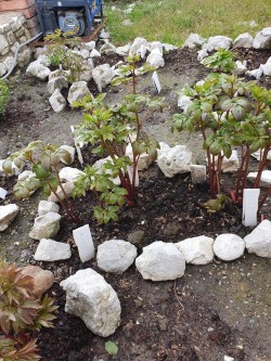 Доставка и оплата, гарантии